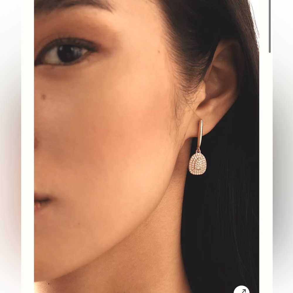 NWT Anthropologie Crystal Drop Earrings
